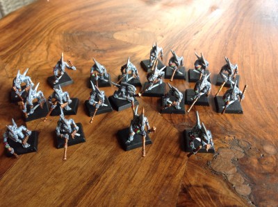 skinks