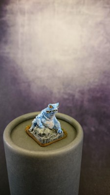 DSC_0103.jpg