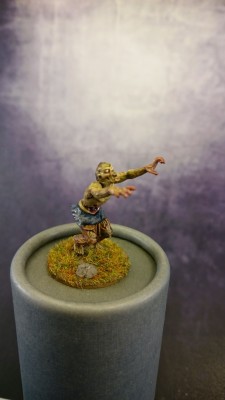 DSC_0102.jpg