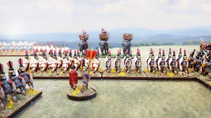 Die römischen Schlachtreihen der Hastati und Principes in Erwartung des Frontalangriffs durch die karthagischen Kriegselefanten. Am linken Bildrand erkennt man eine Abteilung Principes, die zur Unterstützung des linken römischen Flügels abkommandiert wurde. Ganz rechts im Anschnitt die Triarier, denen zwar ein erfolgreicher Lückenschluss geglückt ist, die aber nach wie vor in Kolonne formiert ist. Ganz im Hintergrund die Höhenzüge des Apennin - wir befinden uns also auf italienischem Boden.